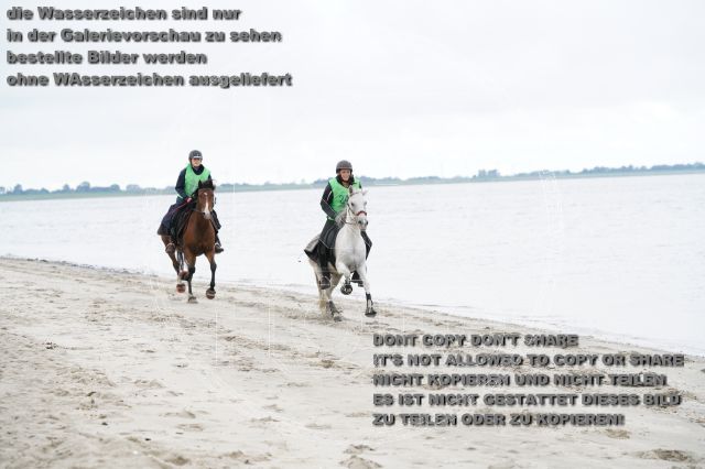 s_K3F04823.JPG